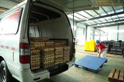 河南睢縣 培育“新農人”，筑起“興農路”食品銷售新篇章